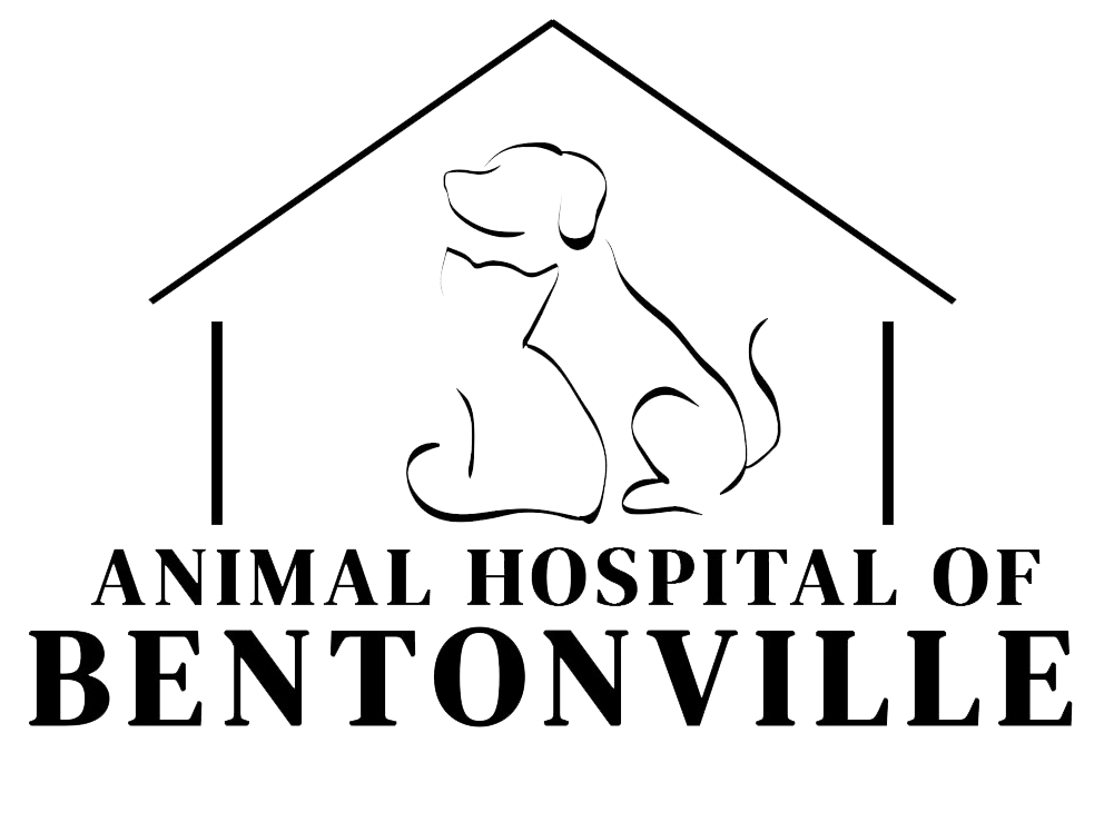 Best Veterinary Hospital In Bentonville, AR | Animal Hospital Of Bentonville