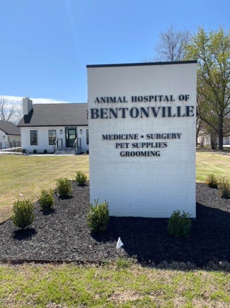Best Veterinary Hospital In Bentonville, AR | Animal Hospital Of Bentonville